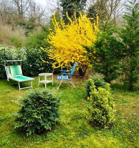Casa Relax Immersa Nel Verde Della Natura Casalborgone Exterior foto